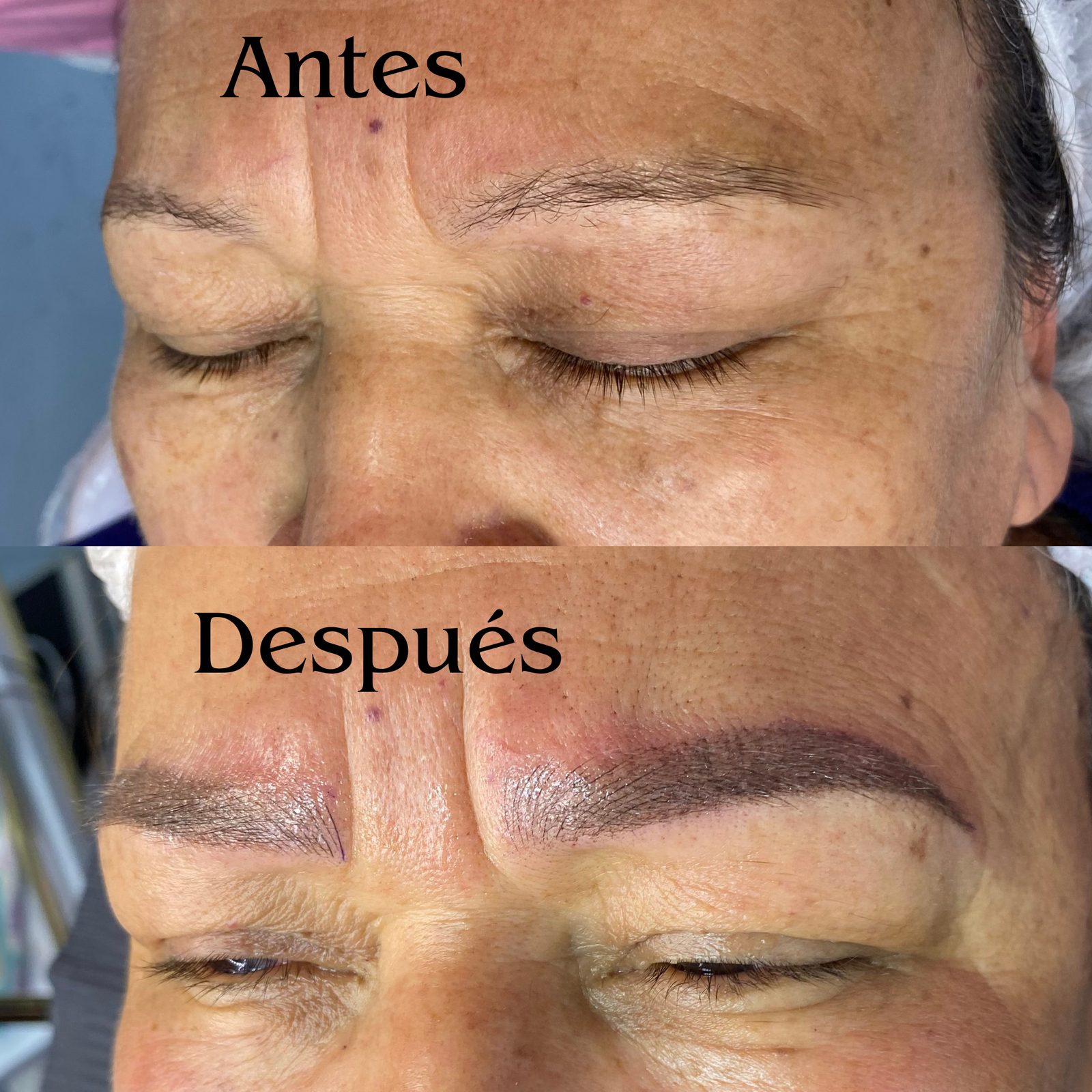 CEJAS HIBRIDAS